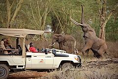 Safari Finch Hattons Luxury Camp