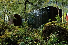 Waldlandschaft Norwegen Valldal Juvet Landscape Hotel