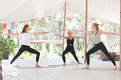 YogaRosa Yoga Therapy
