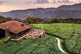 Ruanda - One&Only Nyungwe House Ruanda - One&Only Nyungwe House