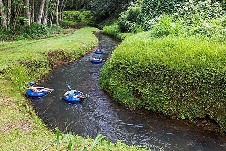 Im Reifen durchs Historic Sugarcane Plantation Water System Ein exklusiver Spaß für Groß und Klein: hocken Sie sich in einen Schwimmreifen und lassen Sie sich durch das historische Kanalsystem treiben, das einst eine riesige Zuckerrohrplantage durchzog. Heute sind die Kanäle und Tunnels nur noch zum Vergnügen da.