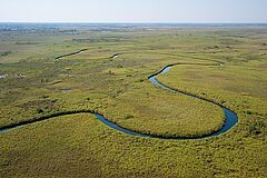 Landschaft Vumbura Plains Camp