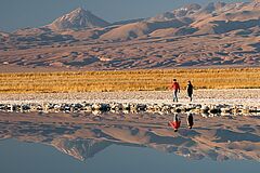 Salar Tierra Atacama