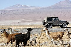 Truck Awasi Atacama