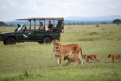 Safari &Beyond Grumeti Serengeti Tented Camp