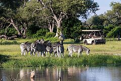 Safari Vumbura Plains Camp
