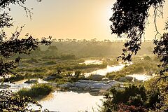 Aussicht Singita Boulders Afrika