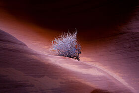 Nordamerika Nordamerika