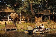 Elefant Chongwe River Camp