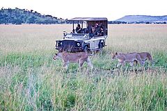 Aktivität Singita Mara River Tented Camp Afrika