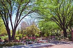 Gartenanlage Canyon Ranch