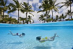 Diving in pool The Ritz-Carlton Kapalua