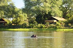 Nildpferd Chongwe River Camp