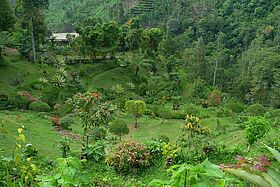 Indonesien    Indonesien
