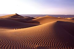 Desert Dar Ahlam