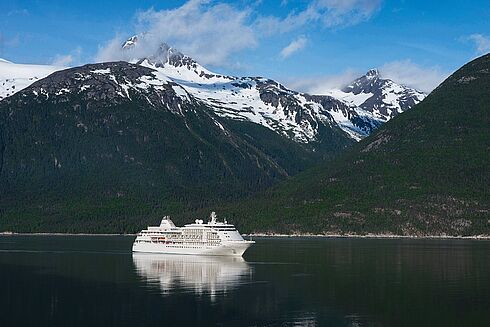 Silver Whisper   