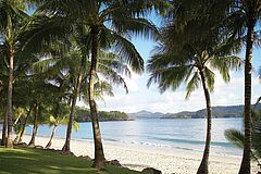 Beach Qualia