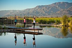 Yoga The Vines Resort & Spa