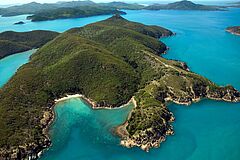 Insel Qualia