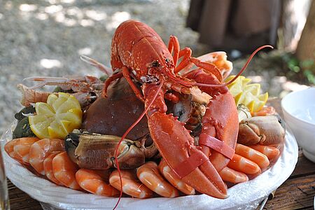 Hummer fischen von Kennebunkport aus Neuenglands Hummer sind berühmt. Grund genug, mehr über die Luxusversion unter den Krustentieren zu erfahren. Gehen Sie an Bord eines roten Bootes und stechen Sie mit seinem Kapitän und einer kleinen Gruppe in See! Dort erleben Sie live, wie Lobster gefangen wird und können gern auch selbst Hand anlegen.