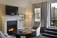 Lounge The Surrey