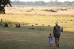 Affen Chinzombo Lodge