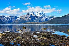 Darwin Gletscher Ventus Australis