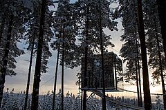 Baumhaus Schweden Harads Treehotel