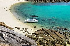 Strand Lizard Island