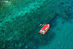 Snorkeling Orpheus Island Resort