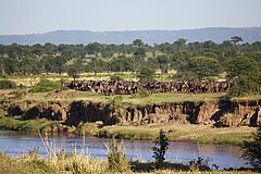 Safari Singita Faru Faru Lodge