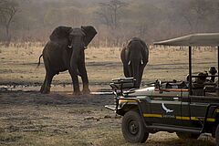 Elephant &Beyond Matetsi River Lodge