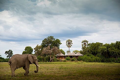 Okavango Delta -  Mombo Camp & Little Mombo