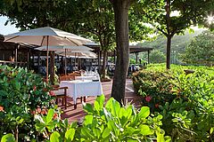 Terrace Dining Hermitage Bay 