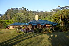 Exterior Ceylon Tea Trails