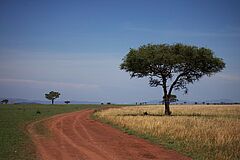 Landschaft Singita Faru Faru Lodge