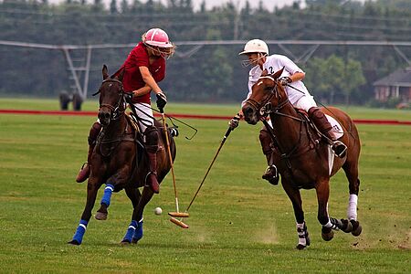 Ein Polo-reicher Tag in Buenos Aires Polo gehört zu Argentinien wie das saftigste Rindfleisch. Deshalb darf ein Polo-Tag nicht fehlen. Sie werden dabei in die Geheimnisse des traditionellen Sports eingeführt, wohnen der Trainingsstunde eines Polo-Ponys bei, erleben ein rasantes Polo-Spiel live und können zur Krönung auch noch selbst durch die Landschaft reiten - lassen Sie sich das nicht entgehen!