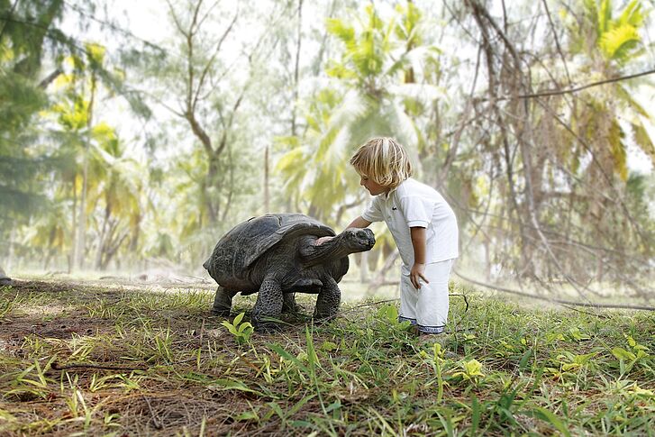 Turtle Boy Four Seasons Resort Seychelles at Desroches Island