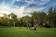 Leeu Estates Garden