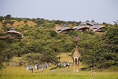 Blick auf Hotel und Tiere Mahali Mzuri