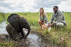 Baby Elefant Abu Camp