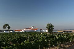 Landscape Torre de Palma Wine Hotel