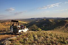Safari Drive Arkaba