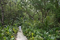 Pathway Soneva Fushi