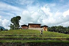 Reisfeld COMO Uma Punakha