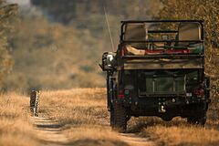 Aktivität Singita Boulders Afrika