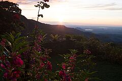 Blick ins Tal Thotalagala