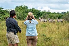 Zebra Watching Magashi Camp