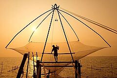 Fischer Purity at Lake Vembanad