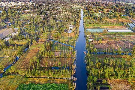 Durch die Floating Gardens von Xochimilco Gleiten Sie mit einem erfahrenen Guide auf seiner hölzernen Trajinera über smaragdgrüne Kanäle. Beobachten Sie Vögel und erfahren Sie alles über die spannenden Axolotl. Wie Urban Farming hier betrieben wird, sehen Sie auf den Chinampas, den künstlichen Inseln. Von dort kommen auch die Zutaten für Ihr heutiges Mittagessen.